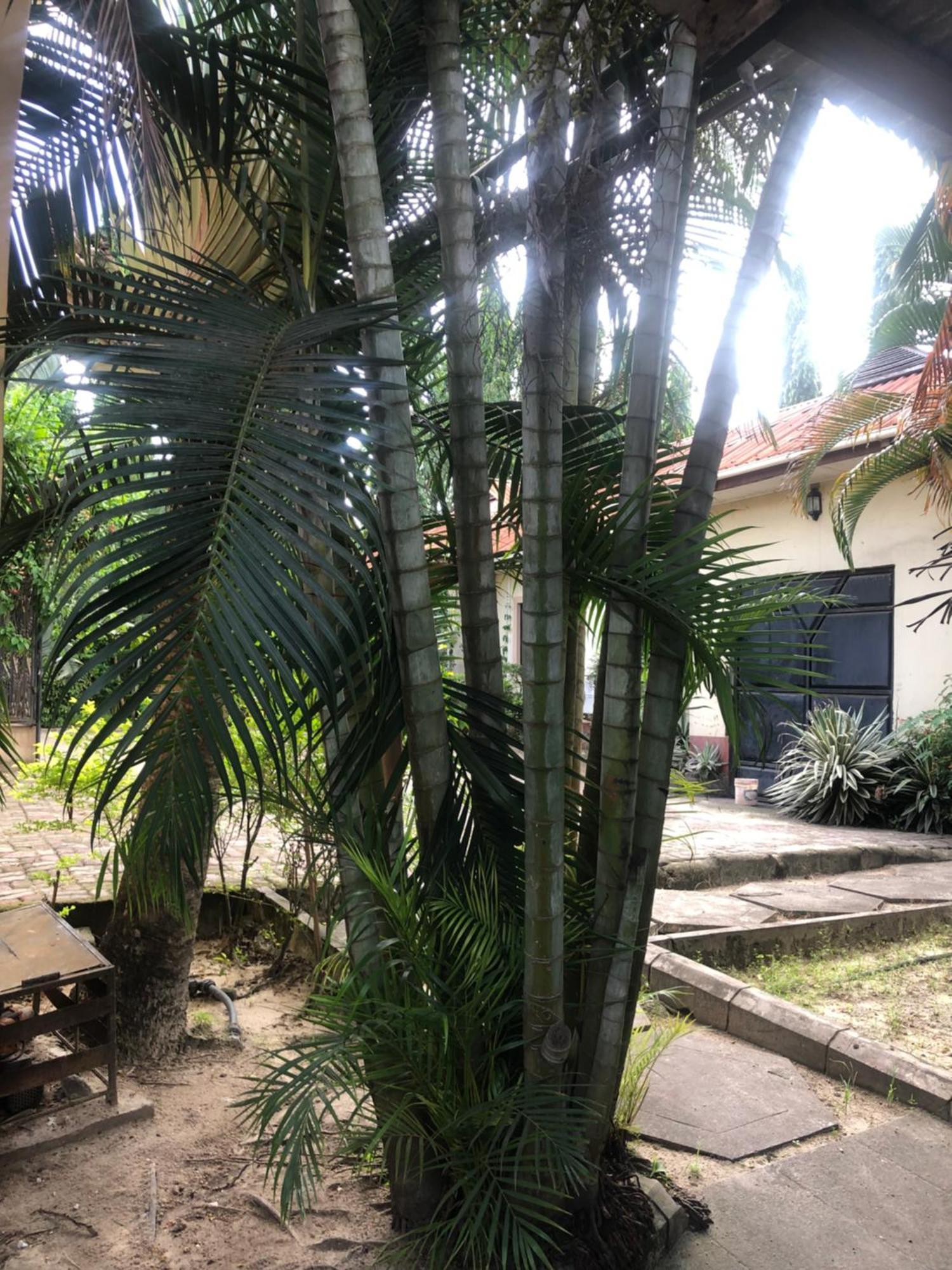 Tatys Homestay Dar es Salaam Ngoại thất bức ảnh
